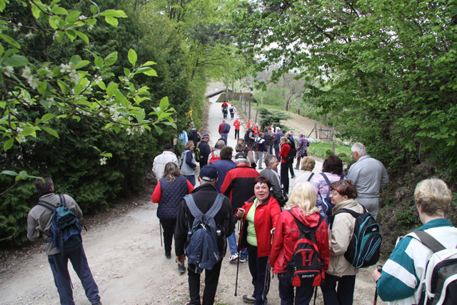 Pohod k repnicam 2010