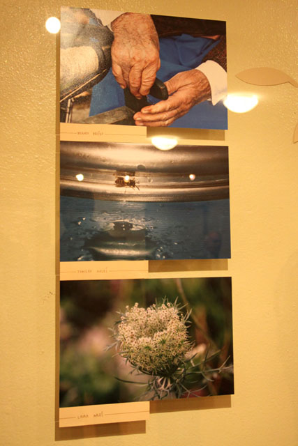 Podelitev Fotoextempore Kozjansko jabolko