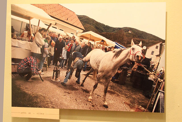 Podelitev Fotoextempore Kozjansko jabolko