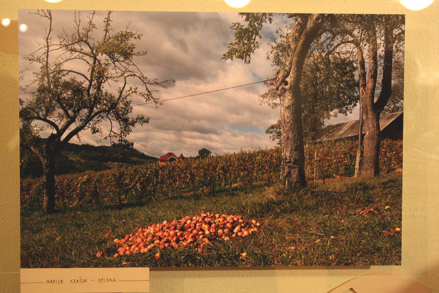 Podelitev Fotoextempore Kozjansko jabolko