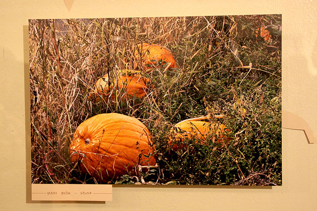 Podelitev Fotoextempore Kozjansko jabolko