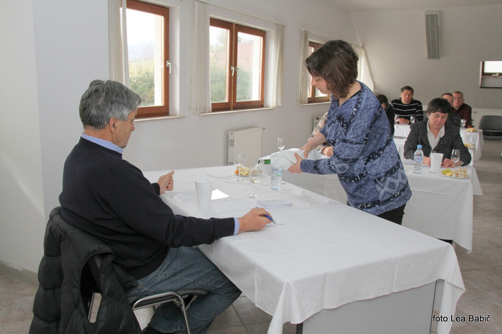 Mag. Janez Istenič Mag. Janez Istenič